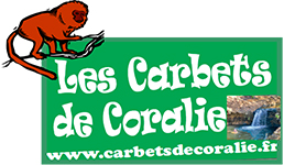 carbet-coralie